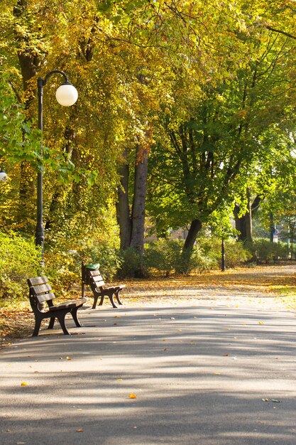 Photo footpath with bench for relaxation autumnal park