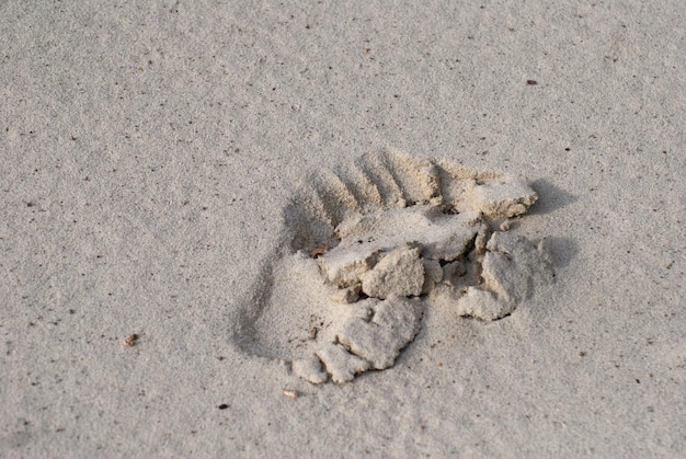 The footprint of a bare foot on the river sand