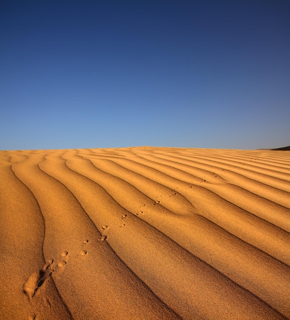 Footprint on sand dune in desert