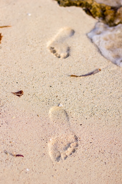 Footprint in the sand