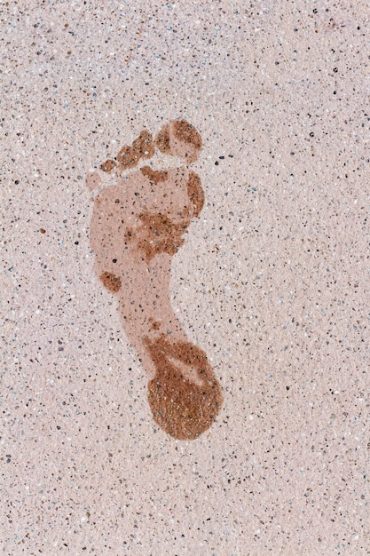 Footprint