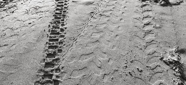 写真 柔らかい砂浜の足跡と車両