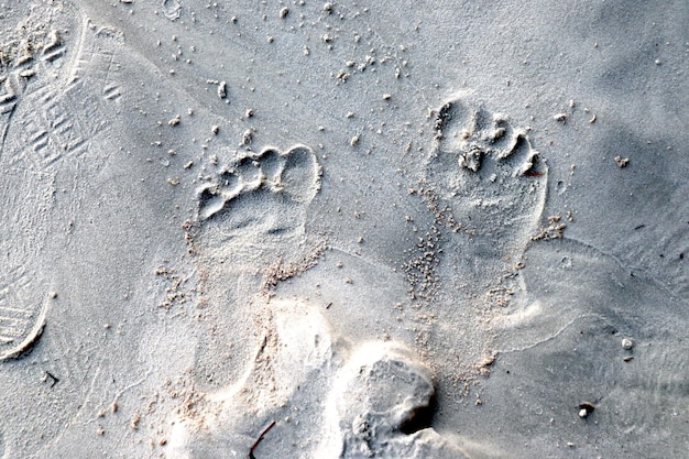 Footprints on the beach, hot day