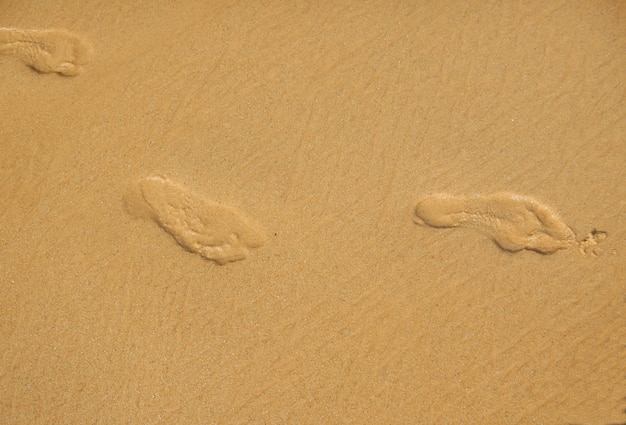 Footprints on the beach sand on a summer morning