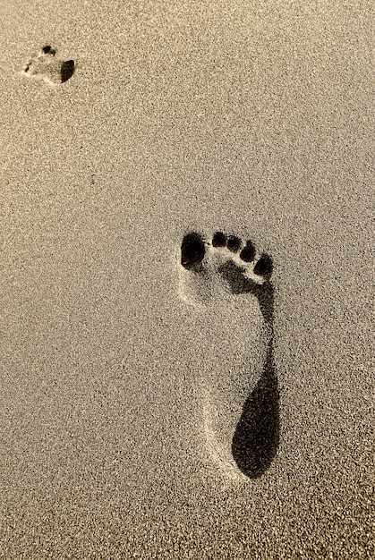 Photo footprints on the beach summer sand