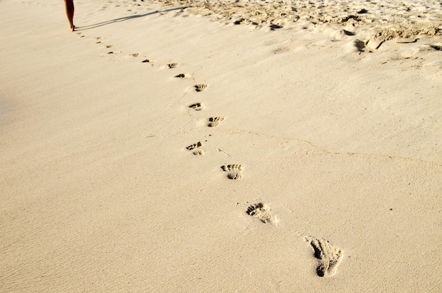 Footprints in beach