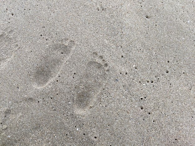 浜辺で遊ぶ子供たちの足跡