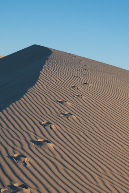 footprints in desert dunes