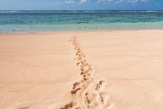 Photo footprints forming a path in the sand to the sea