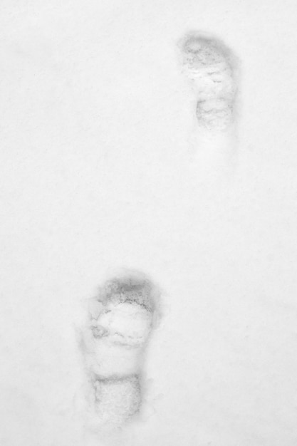 footprints in fresh snow