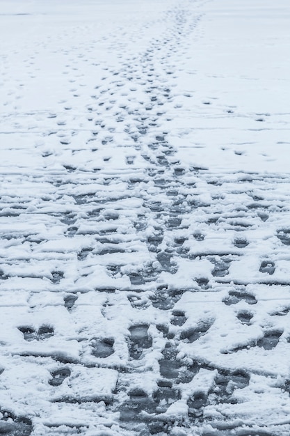 Фото Следы от ног людей в снегу.