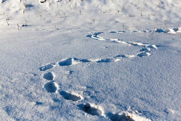 冬の深い雪の吹きだまりの足跡、運転中に人々が線路を踏みにじった