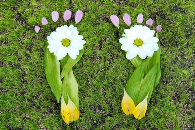 Footprints of leaves and flowers on grass closeup