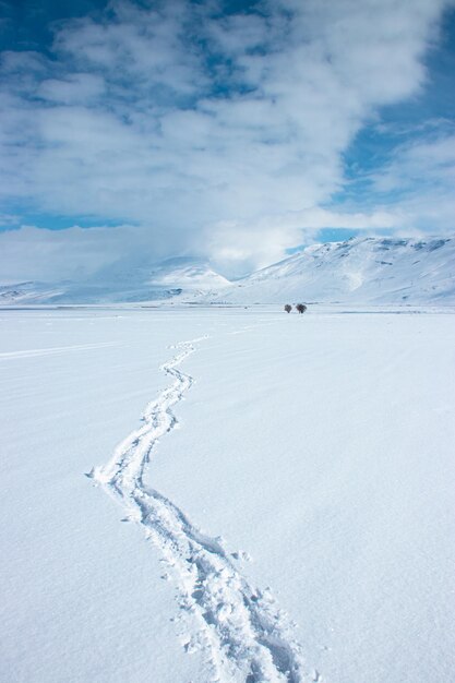 雪の中を歩く男の足跡。山と平野の冬の風景。