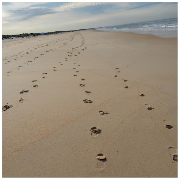 Foto impronte sulla spiaggia di matalascanas