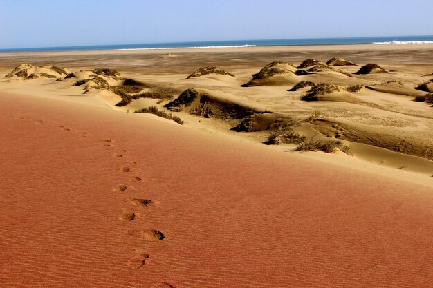 Foto impronte sulla sabbia sulla spiaggia contro un cielo limpido