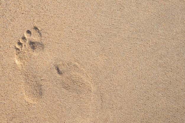 Footprints on sand at the beach background Top view