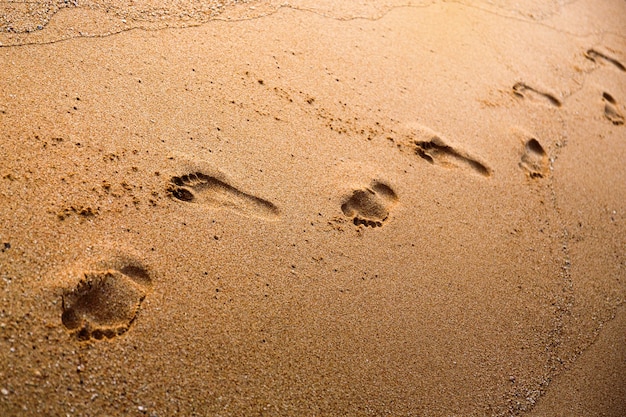 Orme sulla spiaggia di sabbia al mattino