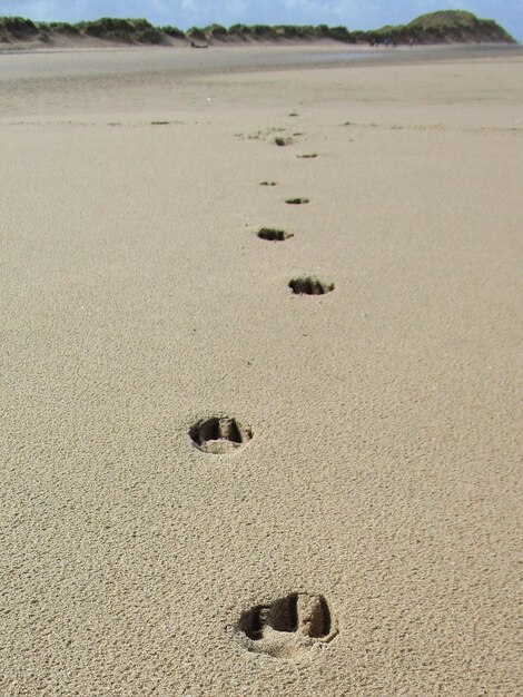 Photo footprints on sand at beach