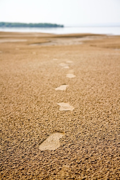 Photo footprints in sand at beach