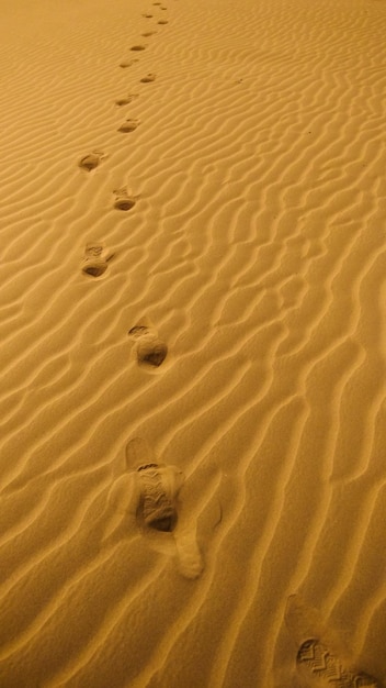 footprints on sand at desert