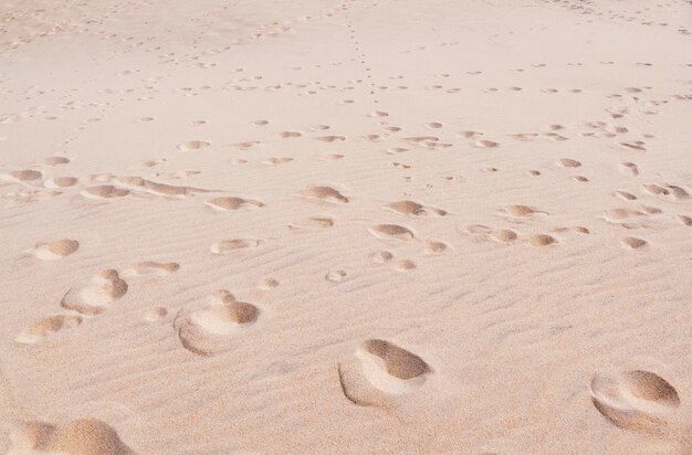 Footprints in the sand People walking in different directions