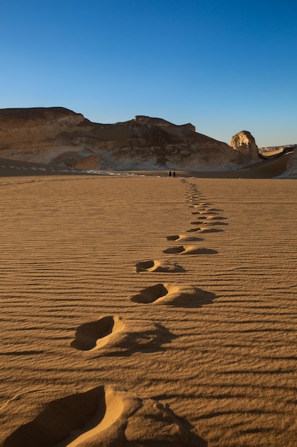 Footprints in the sand in the Sahara desert