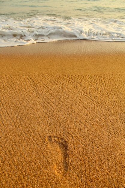 Footprints in the sand stretching to the Indian Ocean island of Sri Lanka