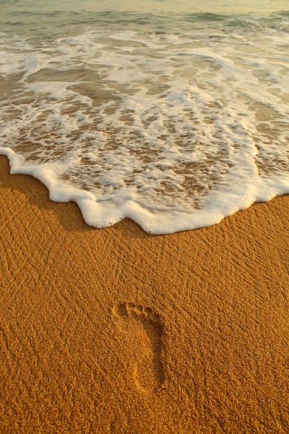 Footprints in the sand stretching to the Indian Ocean island of Sri Lanka