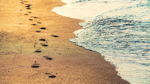 Footprints on the sand. Summer beach