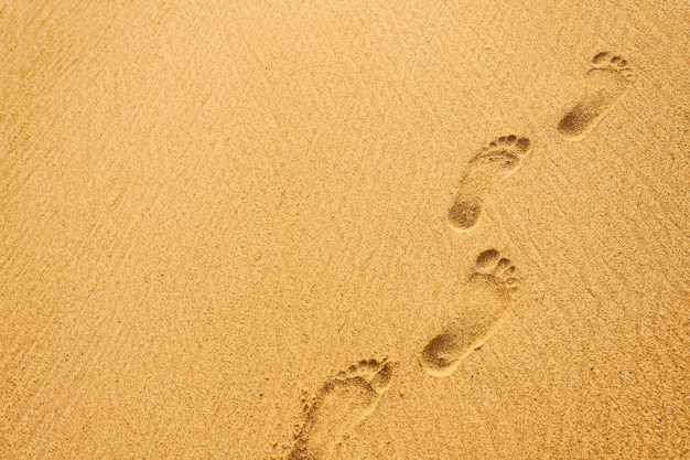 Footprints in the sand at sunset time