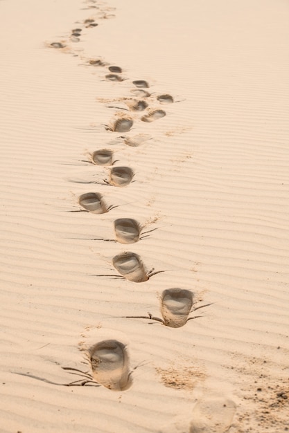 Footprints in the sand at sunset