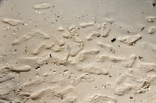 Footprints in the Sand