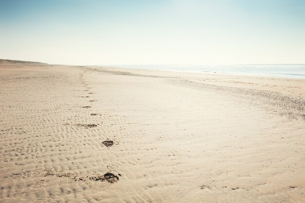 Photo footprints on the sandy beach. coast of north sea in netherlands