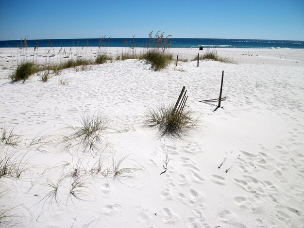 Foto impronte sulla spiaggia di sabbia