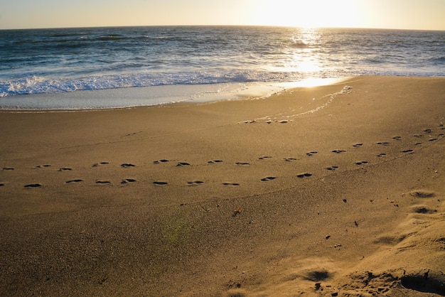 Footprints on a sea sand clean beach parallel to the shore Waves splash on the shore