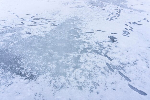 Photo footprints on snow covered field