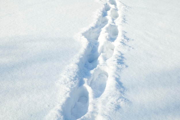 雪の中の足跡。冬の野原を心から通り抜けます。