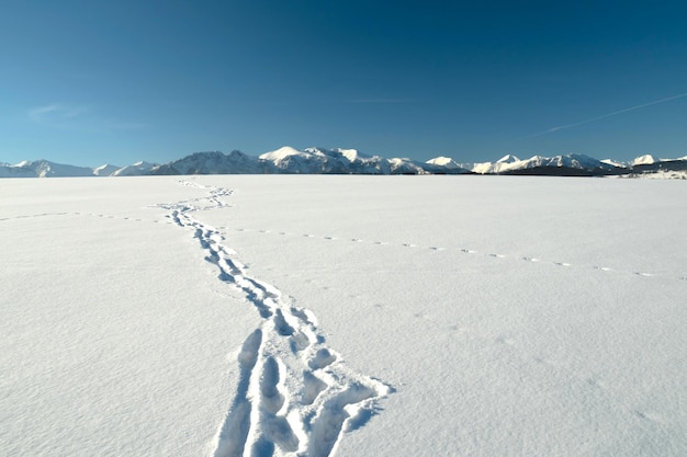 Footprints in the snow and mountain peaks