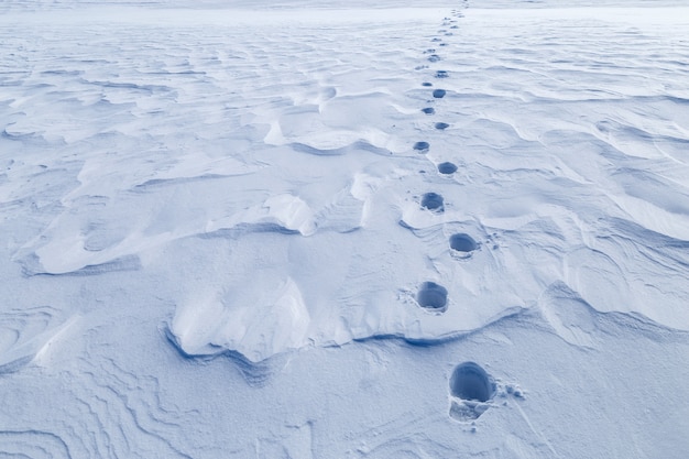 Footprints in the snow