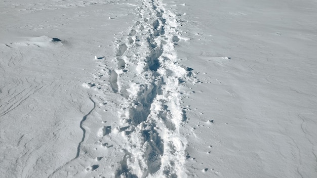 吹きだまりの足跡 冬の日の雪の中のハイキング コース