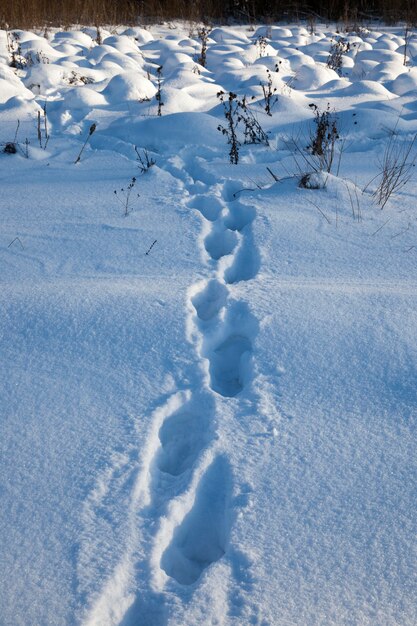 Photo footprints on snowdrifts after walking through the snow of a person, the winter season in nature