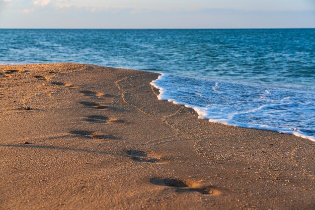 Footprints on wet sand beach
