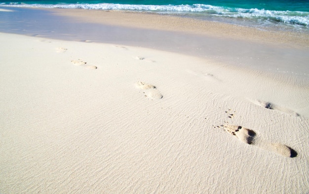 Footprints in wet sand of beach