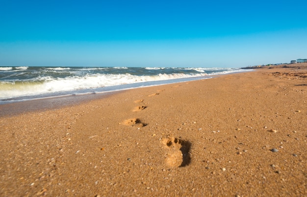 바다 파도로 이어지는 젖은 모래에 발자국
