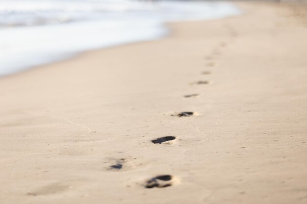 濡れた砂の上に残った足跡