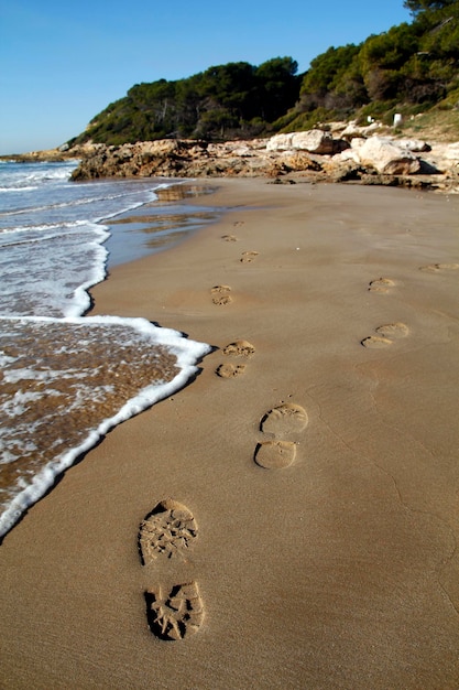 Footseps in the beach, next to the sea