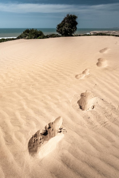 Footsteps on the dune at the seaside near Sidi Kaouki in Morocco