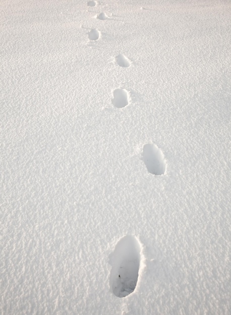 雪の中の足音