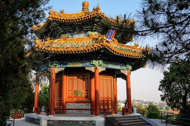 Photo the forbidden city eastern pagoda beijing the beauty of the east